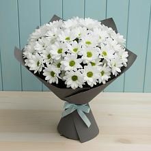 Букет цветов из:  Хризантемы #REPLACE_PRED# Камских Полянах