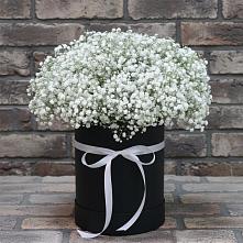 Цветочная композиция из Гипсофила в шляпной коробке в Камских Полянах