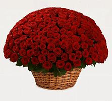 Премиум букет из: Розы в Камских Полянах